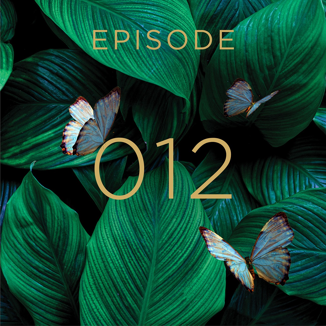 Amazónico Podcast