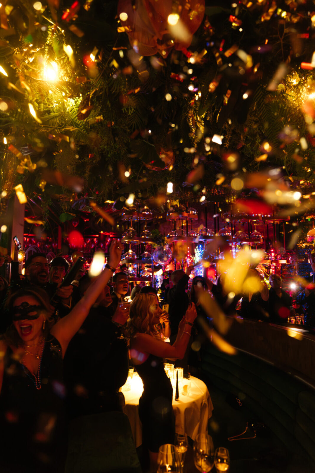 AVIS SUR AMAZONICO MIAMI visual data 7